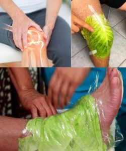 Cabbage Wraps A Natural Remedy for Swollen Joints and Thyroid Health