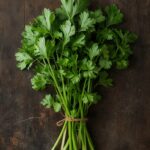 Cilantro