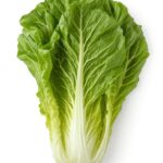 Lettuce