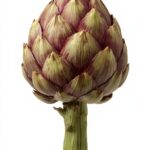 Artichoke