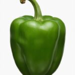 Bell Pepper (Capsicum)