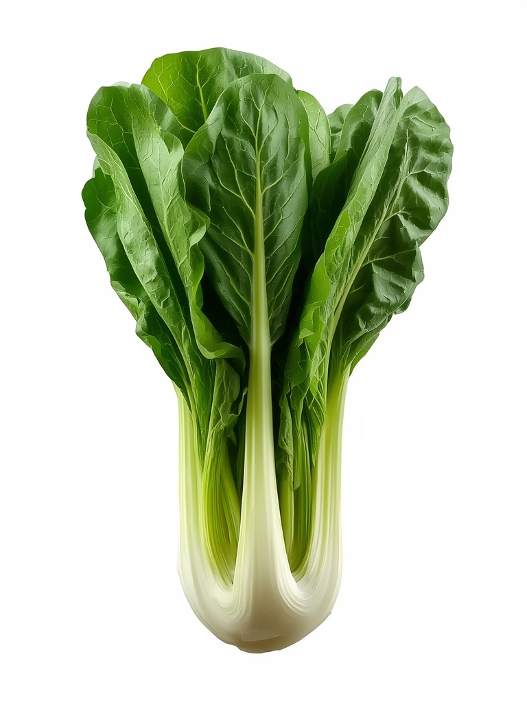 Bok Choy