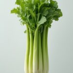 Celery